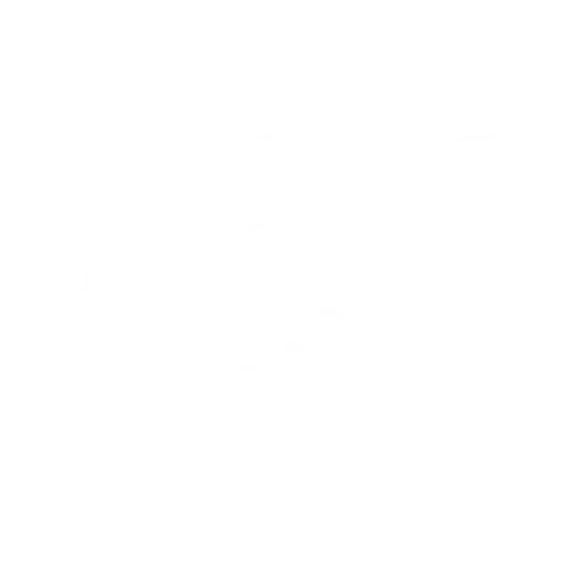 hands